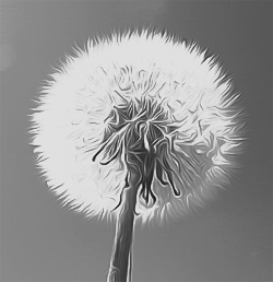 Black & White AirBrush Painting