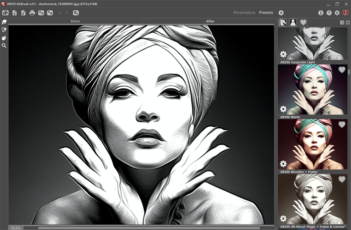 AKVIS AirBrush Workspace (Presets Mode)