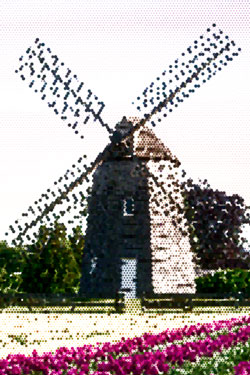 Triangular Grid