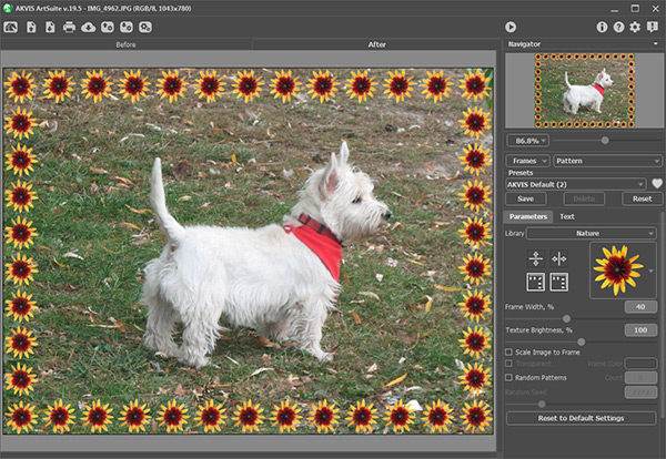 Original Image in AKVIS ArtSuite