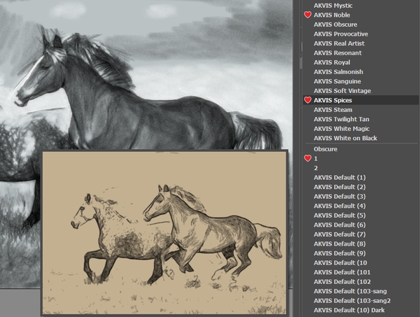Presets Field in AKVIS Charcoal