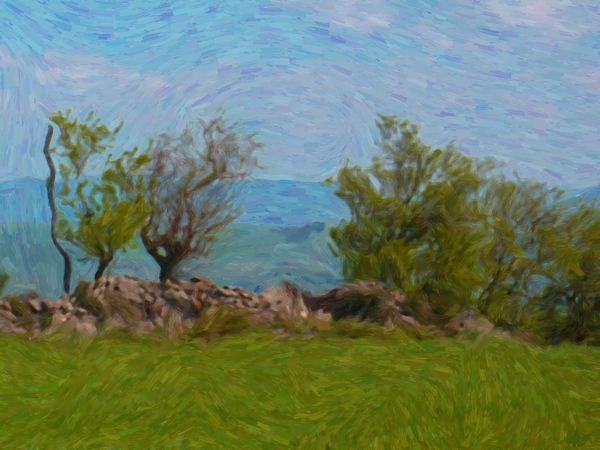 Pittura ad olio dalla foto
