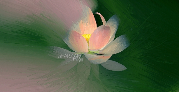 Pittura ad olio creata in OilPaint