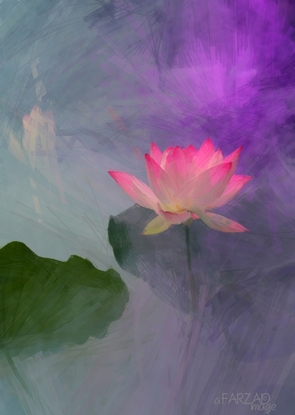 Pittura ad olio creata in OilPaint