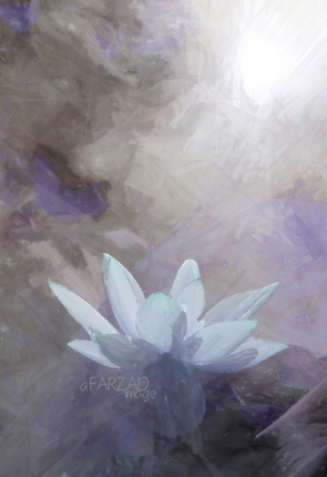 Pittura ad olio creata in OilPaint