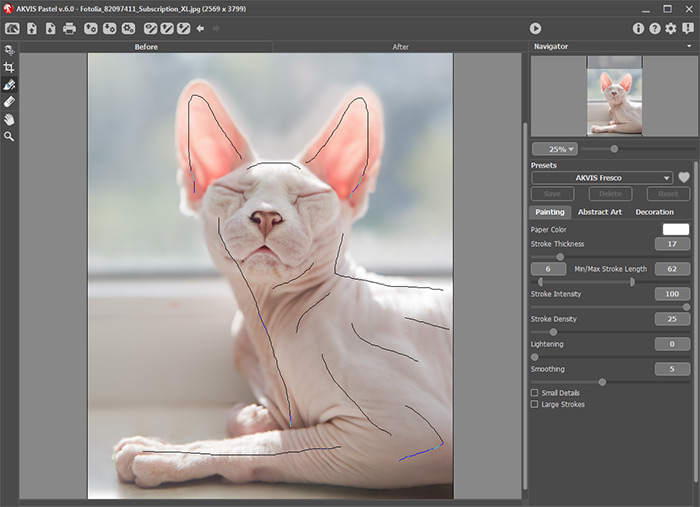 Effect Adjustment in AKVIS Pastel