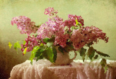 Varietà colore = 5
