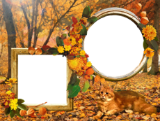 Marcos: Paquete de otoño