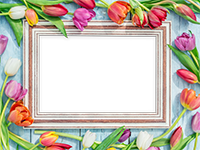 Marcos: Primavera floreciente