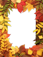 Marcos: Follaje de otoño