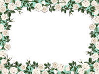 フレームパック: フラワーパック