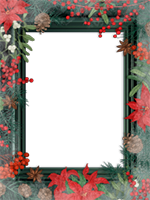 Frames: Magic Winter