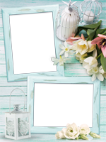 Frames: Provence Pack