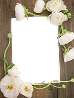 Cadres: Paquet Scrapbooking