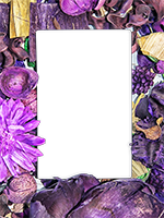 Cadres: Paquet Scrapbooking