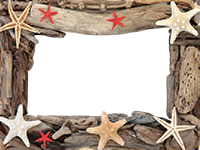 Frames: Sea Pack
