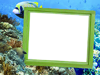 Frames: Sea Pack