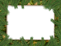 Frames: Wildlife Pack