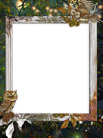 Frames: Wildlife Pack