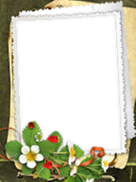 Frames: Wildlife Pack