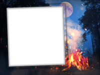 Frames: Wildlife Pack