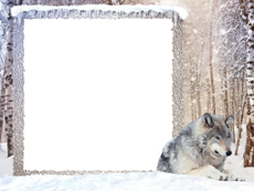 Bilderrahmen : Winterpaket